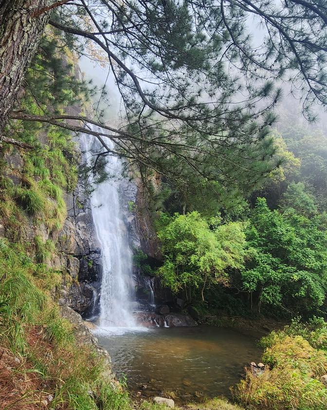 35-Where the forest whispers and the waterfall sings moments like these are why we escape to nature. #EcoWildGlampingBambarakanda #BambarakandaFalls #NatureEscape #HiddenSriLanka #IntoTheWild Eco Wild Glamping Bambarakanda – Eco Tourism Hospitality Project