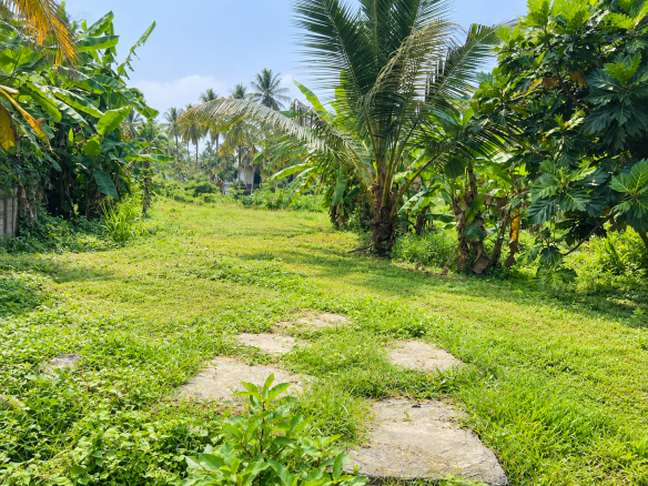 Commercial Bare Land for Sale in Boralesgamuwa – 291 Perches