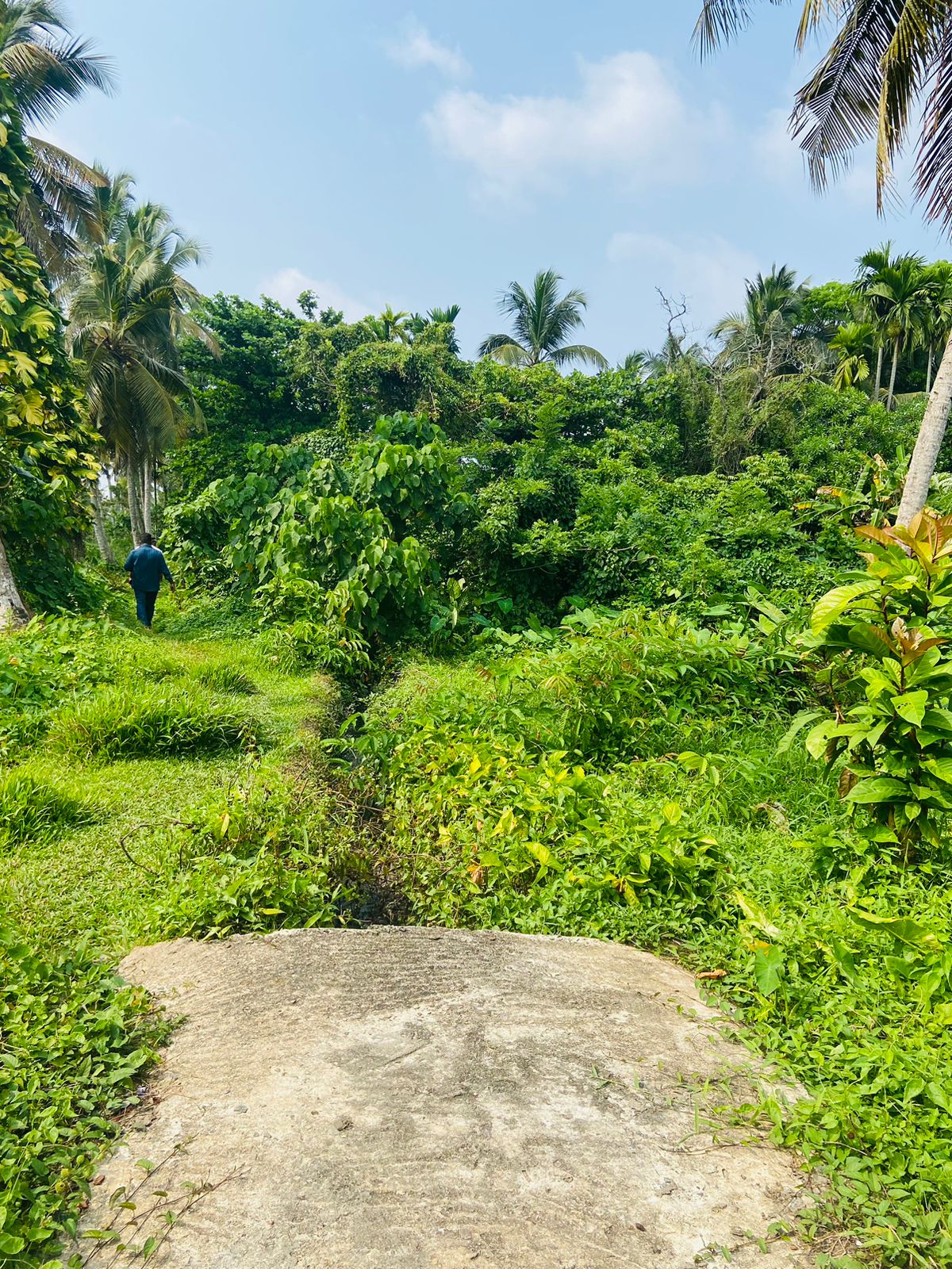 Boralesgamuwa (7) Commercial Bare Land for Sale in Boralesgamuwa – 291 Perches