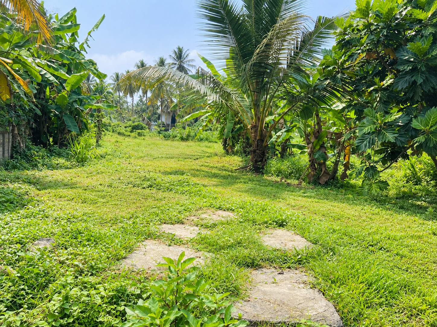 Boralesgamuwa Commercial Bare Land for Sale in Boralesgamuwa – 291 Perches